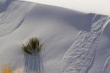 White Sands_31718